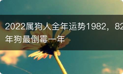 2022属狗人全年运势1982，82年狗最倒霉一年