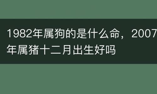 1982年属狗的是什么命，2007年属猪十二月出生好吗