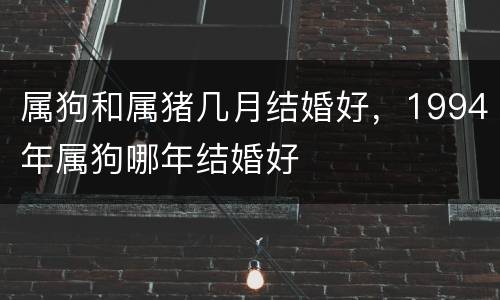 属狗和属猪几月结婚好，1994年属狗哪年结婚好