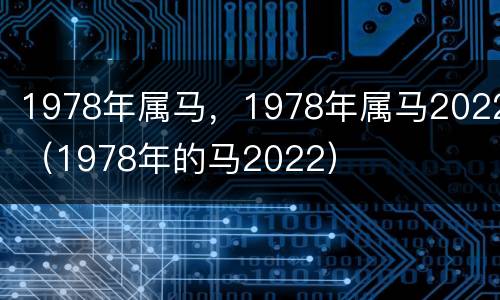 1978年属马，1978年属马2022（1978年的马2022）
