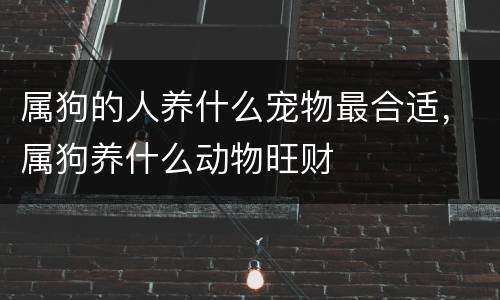 属狗的人养什么宠物最合适，属狗养什么动物旺财
