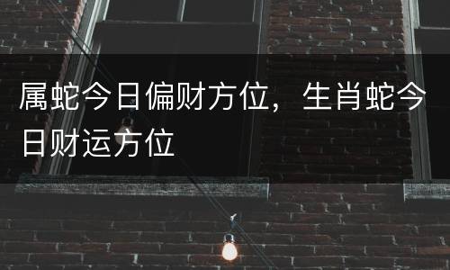 属蛇今日偏财方位，生肖蛇今日财运方位