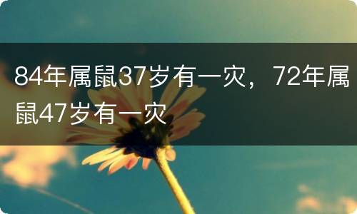 84年属鼠37岁有一灾，72年属鼠47岁有一灾
