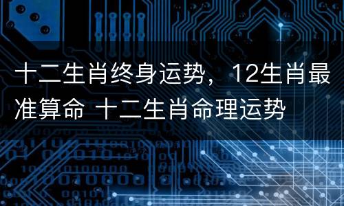 十二生肖终身运势，12生肖最准算命 十二生肖命理运势