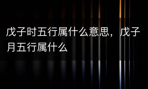 戊子时五行属什么意思，戊子月五行属什么
