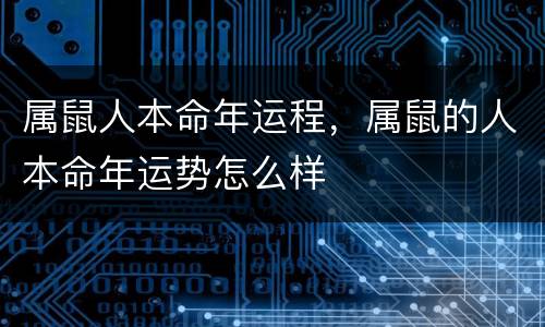 属鼠人本命年运程，属鼠的人本命年运势怎么样