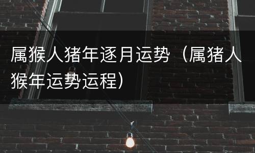 属猴人猪年逐月运势（属猪人猴年运势运程）