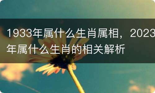 1933年属什么生肖属相，2023年属什么生肖的相关解析