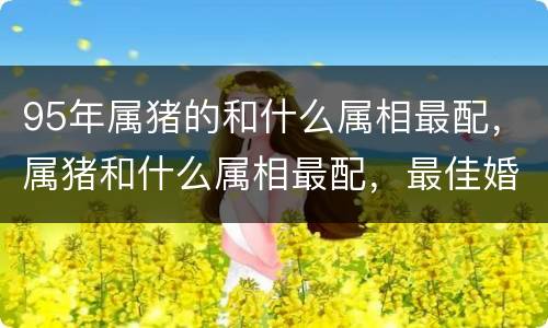95年属猪的和什么属相最配，属猪和什么属相最配，最佳婚配表
