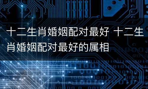 十二生肖婚姻配对最好 十二生肖婚姻配对最好的属相