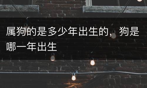 属狗的是多少年出生的，狗是哪一年出生