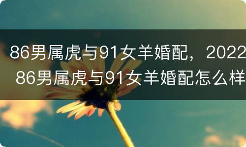 86男属虎与91女羊婚配，2022 86男属虎与91女羊婚配怎么样