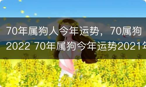 70年属狗人今年运势，70属狗2022 70年属狗今年运势2021年运势