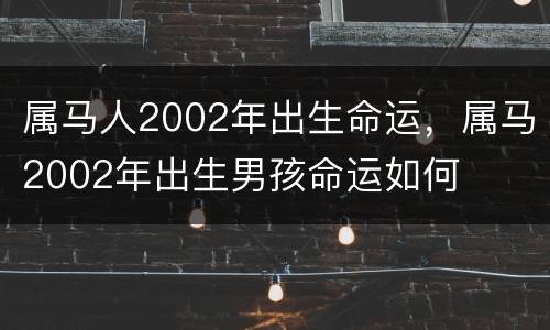 属马人2002年出生命运，属马2002年出生男孩命运如何