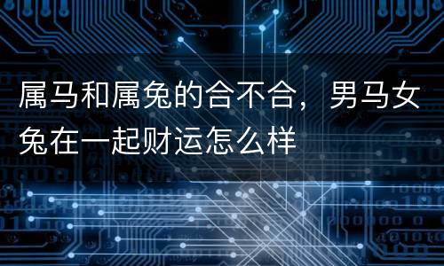 属马和属兔的合不合，男马女兔在一起财运怎么样