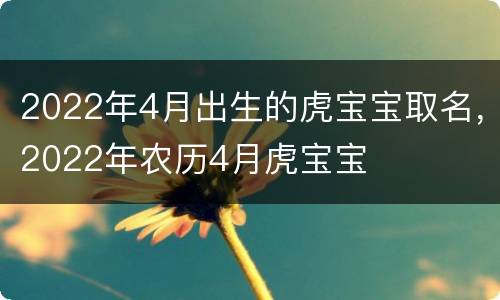 2022年4月出生的虎宝宝取名，2022年农历4月虎宝宝