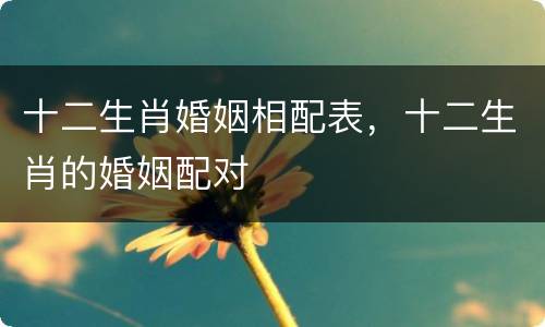 十二生肖婚姻相配表，十二生肖的婚姻配对