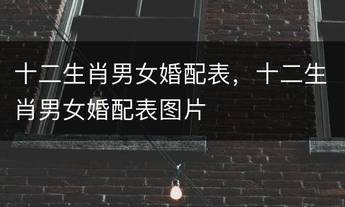 十二生肖男女婚配表，十二生肖男女婚配表图片