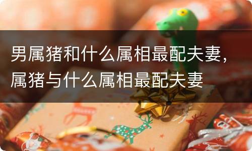 男属猪和什么属相最配夫妻，属猪与什么属相最配夫妻