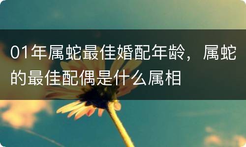 01年属蛇最佳婚配年龄，属蛇的最佳配偶是什么属相