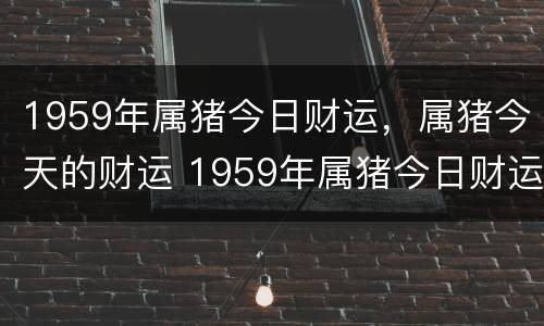 1959年属猪今日财运，属猪今天的财运 1959年属猪今日财运,属猪今天的财运如何