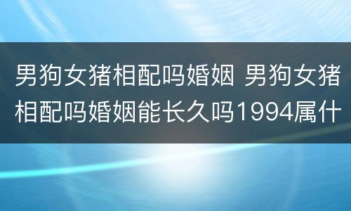 男狗女猪相配吗婚姻 男狗女猪相配吗婚姻能长久吗1994属什么狗