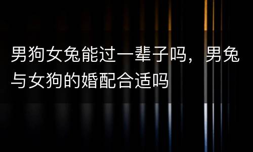 男狗女兔能过一辈子吗，男兔与女狗的婚配合适吗
