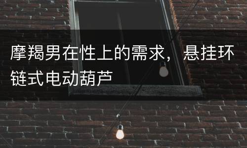 摩羯男在性上的需求，悬挂环链式电动葫芦