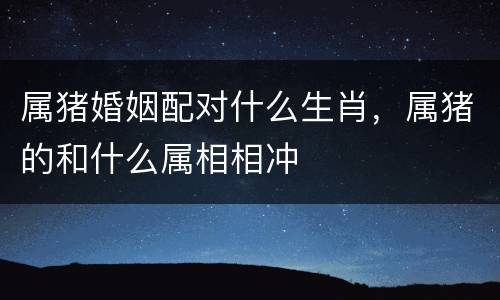 属猪婚姻配对什么生肖，属猪的和什么属相相冲