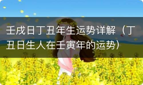 壬戌日丁丑年生运势详解（丁丑日生人在壬寅年的运势）