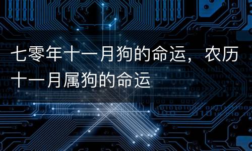 七零年十一月狗的命运，农历十一月属狗的命运