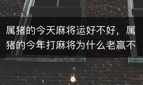 属猪的今天麻将运好不好，属猪的今年打麻将为什么老赢不了