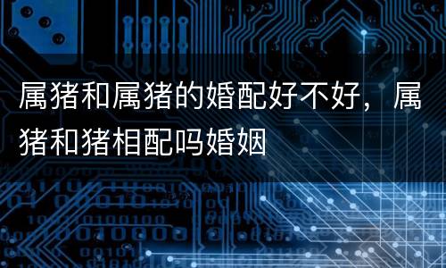 属猪和属猪的婚配好不好，属猪和猪相配吗婚姻