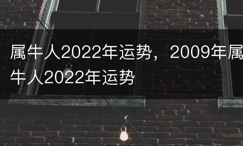 属牛人2022年运势，2009年属牛人2022年运势