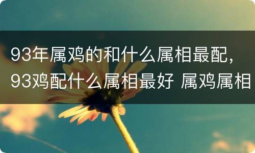 93年属鸡的和什么属相最配，93鸡配什么属相最好 属鸡属相婚