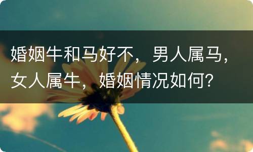 婚姻牛和马好不，男人属马，女人属牛，婚姻情况如何？