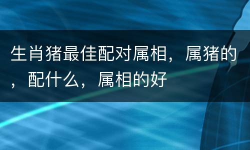 生肖猪最佳配对属相，属猪的，配什么，属相的好