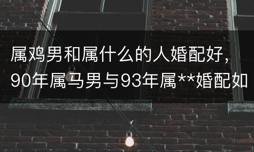 属鸡男和属什么的人婚配好，90年属马男与93年属**婚配如何?