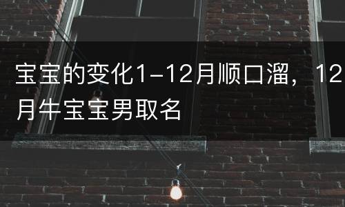 宝宝的变化1-12月顺口溜，12月牛宝宝男取名
