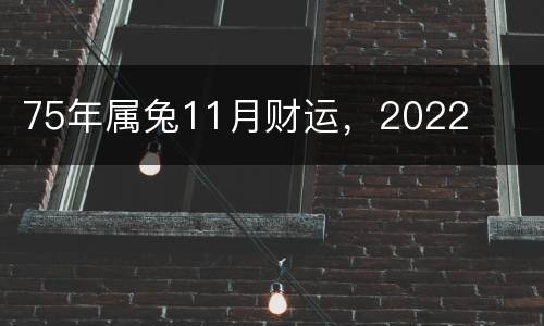75年属兔11月财运，2022