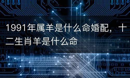1991年属羊是什么命婚配，十二生肖羊是什么命