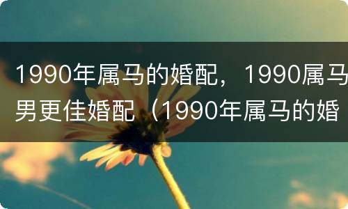 1990年属马的婚配，1990属马男更佳婚配（1990年属马的婚配男士）
