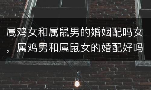 属鸡女和属鼠男的婚姻配吗女，属鸡男和属鼠女的婚配好吗