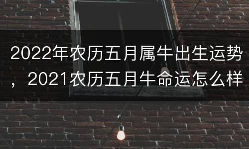 2022年农历五月属牛出生运势，2021农历五月牛命运怎么样