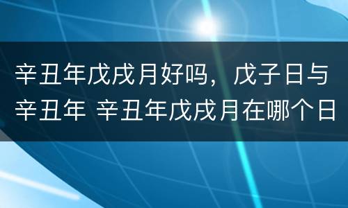 辛丑年戊戌月好吗，戊子日与辛丑年 辛丑年戊戌月在哪个日子最好