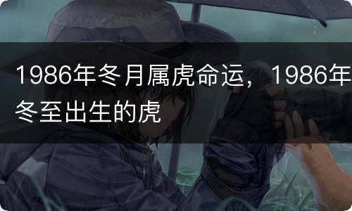 1986年冬月属虎命运，1986年冬至出生的虎