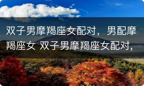 双子男摩羯座女配对，男配摩羯座女 双子男摩羯座女配对,男配摩羯座女合适吗