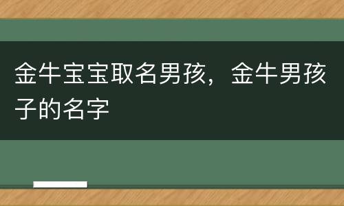 金牛宝宝取名男孩，金牛男孩子的名字