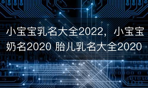 小宝宝乳名大全2022，小宝宝奶名2020 胎儿乳名大全2020