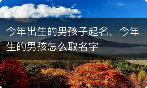 今年出生的男孩子起名，今年生的男孩怎么取名字